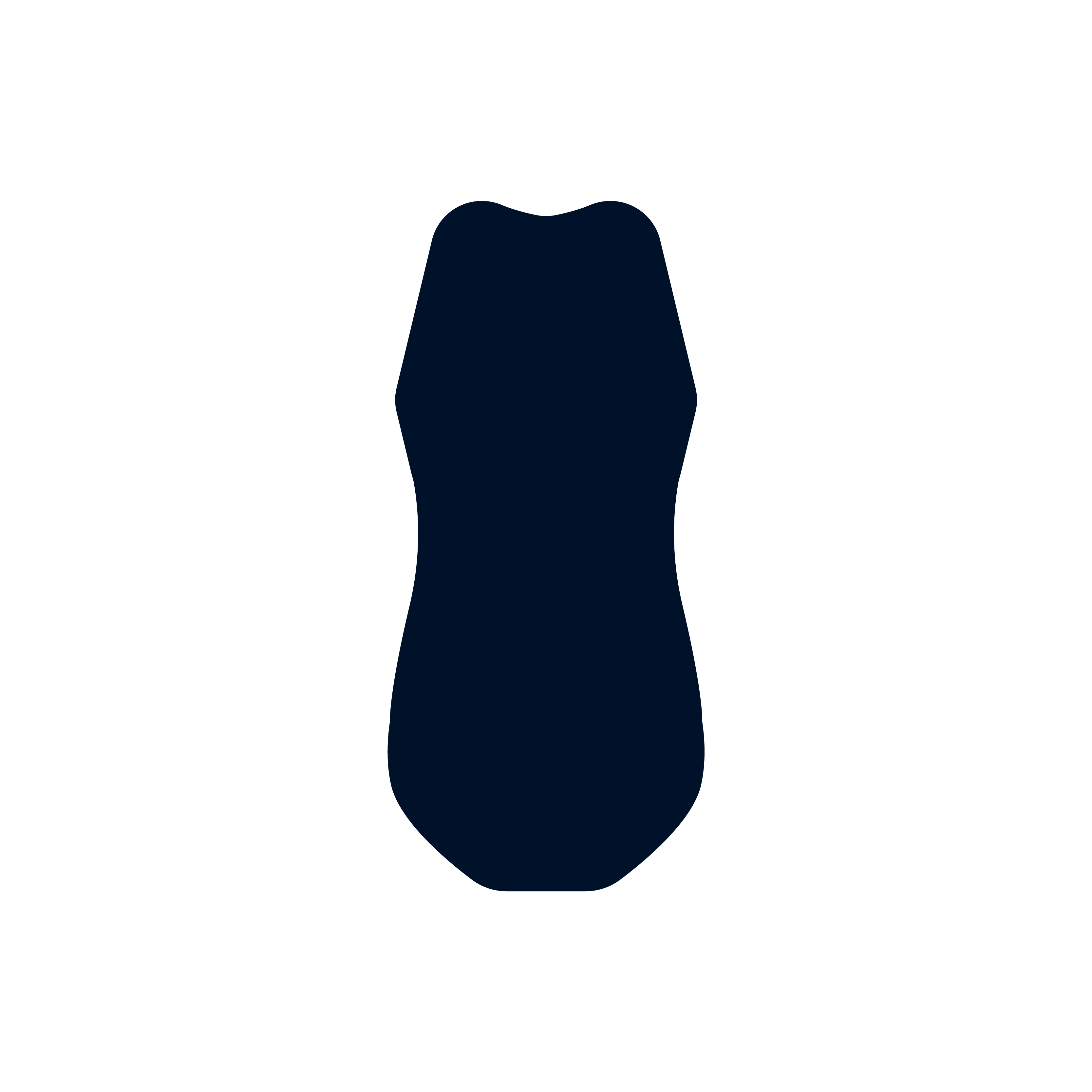 Orca Neoprene One Piece Bathers