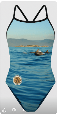 Kozii Custom Womens Swimsuit Bicheno / 8 Bicheno Wild Ocean Swimmers Womens Swimsuit